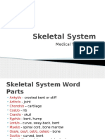 Medical Term Skeletal 1