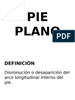 Pie Plano