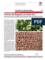 9ficha Cultivo Nogales Zona Sur PDF