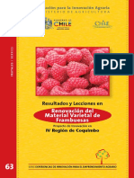 63 - Libro - Frambuesas PDF