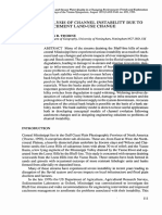 Analysis of Channel Instability PDF