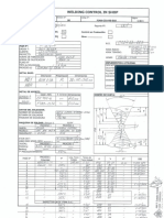 WPS Modelo PDF