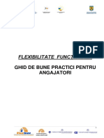 07_Ghid_bune_practici_FF_angajatori.pdf