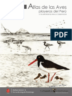 Atlas de Las Aves Playeras Del Perú Final Web - Compressed PDF