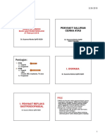 SP Gastro PDF