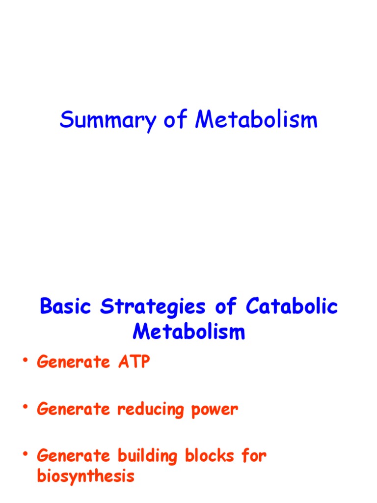 Overview of Catabolic Metabolism Processes | PDF | Metabolic Pathway ...