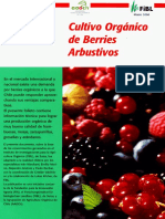 010610bF981 2006_Cultivo orgánico de berries arbustivos.pdf