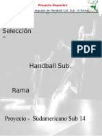 Proyecto Handball Sub 14 2016