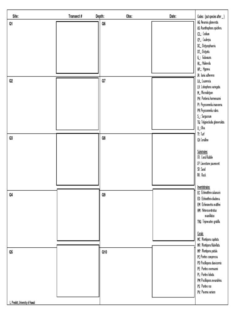 Photoquadrat | PDF