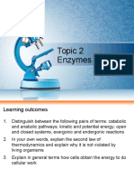 Topic 2 Enzyme S