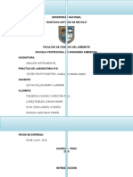 Informe N°5