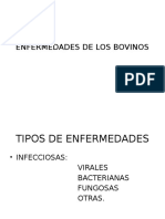 Enfermedades de Los Bovinos