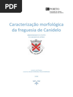 Relatório Geração de Superficies