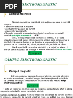 CÂMPUL MAGNETIC.pdf