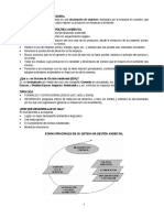 Politica Ambiental de Empresas