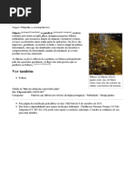 Filipeta – Wikipédia, a enciclopédia livre.pdf