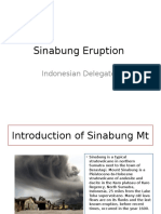 Sinabung Eruption Impacts and Disaster Management in Indonesia