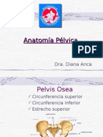 Anatomia Quirurgica de La Pelvis