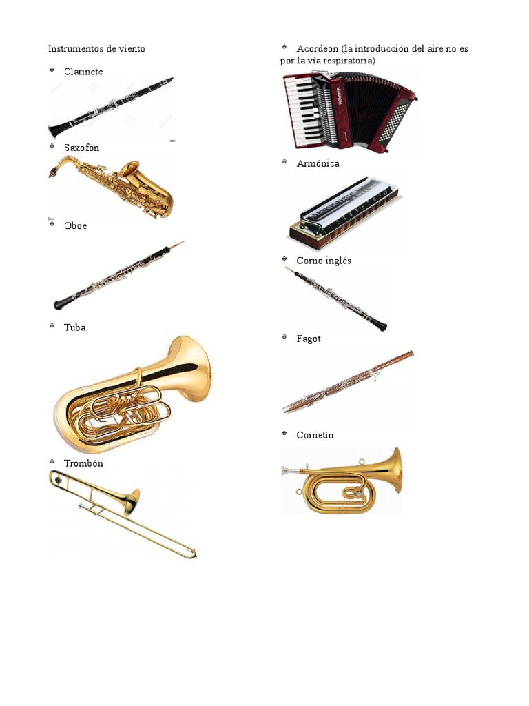 10 Instrumentos de Viento Curda y
