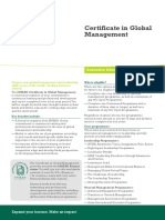 Ejemplo Flyer Insead