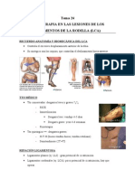 Tratamiento de Fisioterapia en LCA