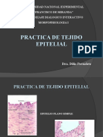 Practica de Tejido Epitelial