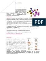 BIOMOLECULAS