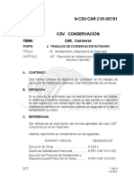 N-CSV-CAR-2-05-007-01.pdf