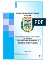 Ejemplo Pip Mercado PDF