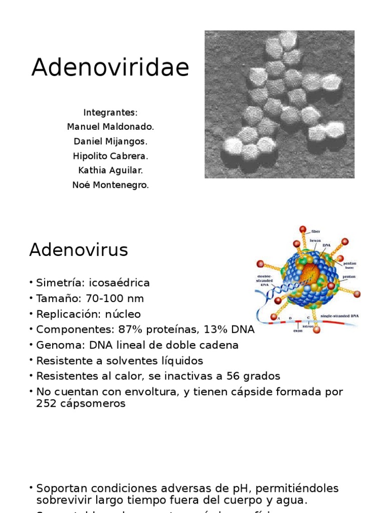 Adenovirus | PDF