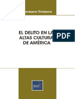 Delito Altas Culturas