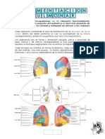 Segmentación Pulmonar