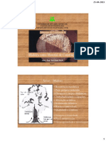 Madeira - Materiais de Construcao II PDF