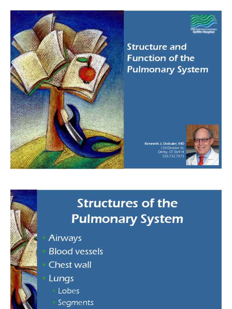 Overview of Pulmonary System Functions | PDF | Respiratory Tract | Lung