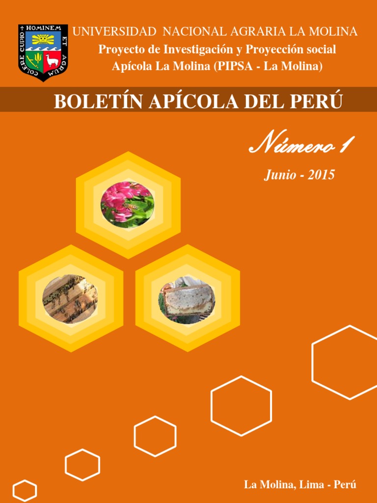 Importancia de la Apicultura en Perú | PDF | Apicultura | Miel
