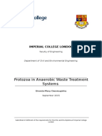 Protozoa in Anaerobic Waste Treatment Systems