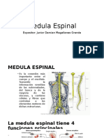 Médula Espinal, Vías Ascendentes y Descendentes