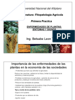 Presentacion Enfermedades de Plantas - Signos y Sintomas