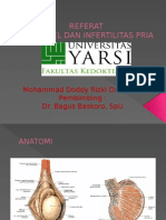 VARIKOKEL DAN INFERTILITAS PRIA