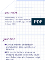 Jaundice: Presented by Dr. Pollock Prepared by Christopher Edwards Tintanalli Chapter 84, Pgs. 560-561 October 2005