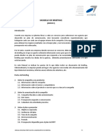 Briefing Publicitario.pdf