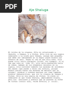 Yalangoch va pizza yetkazib beruvchi yigit video