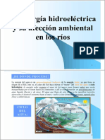 afeccion_hidroelectrica (1).pdf