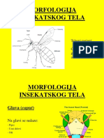 02 - Entomologija Za Ratare 2015