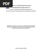 proyecto comunitario