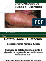 Cultivo da Batata Doce