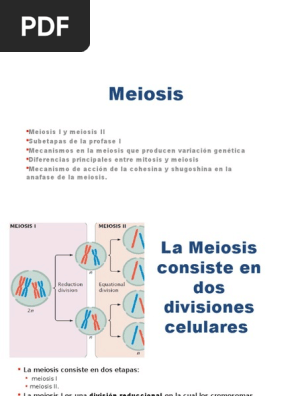 Meiosis Mitosis Bioquimica scribd