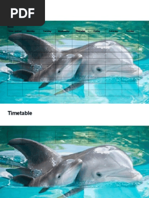 timetable-monday-to-sunday.doc