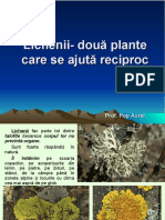 Lectie 20 Lichenii Doua Plante Care Se Ajuta Reciproc