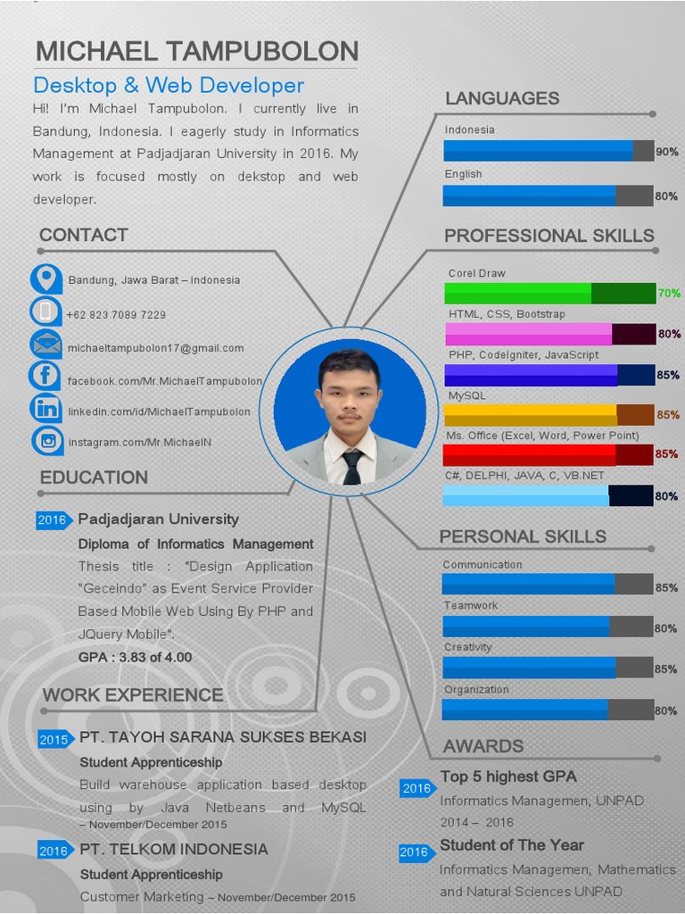 Developer Profile: Michael Tampubolon | PDF | Career & Growth